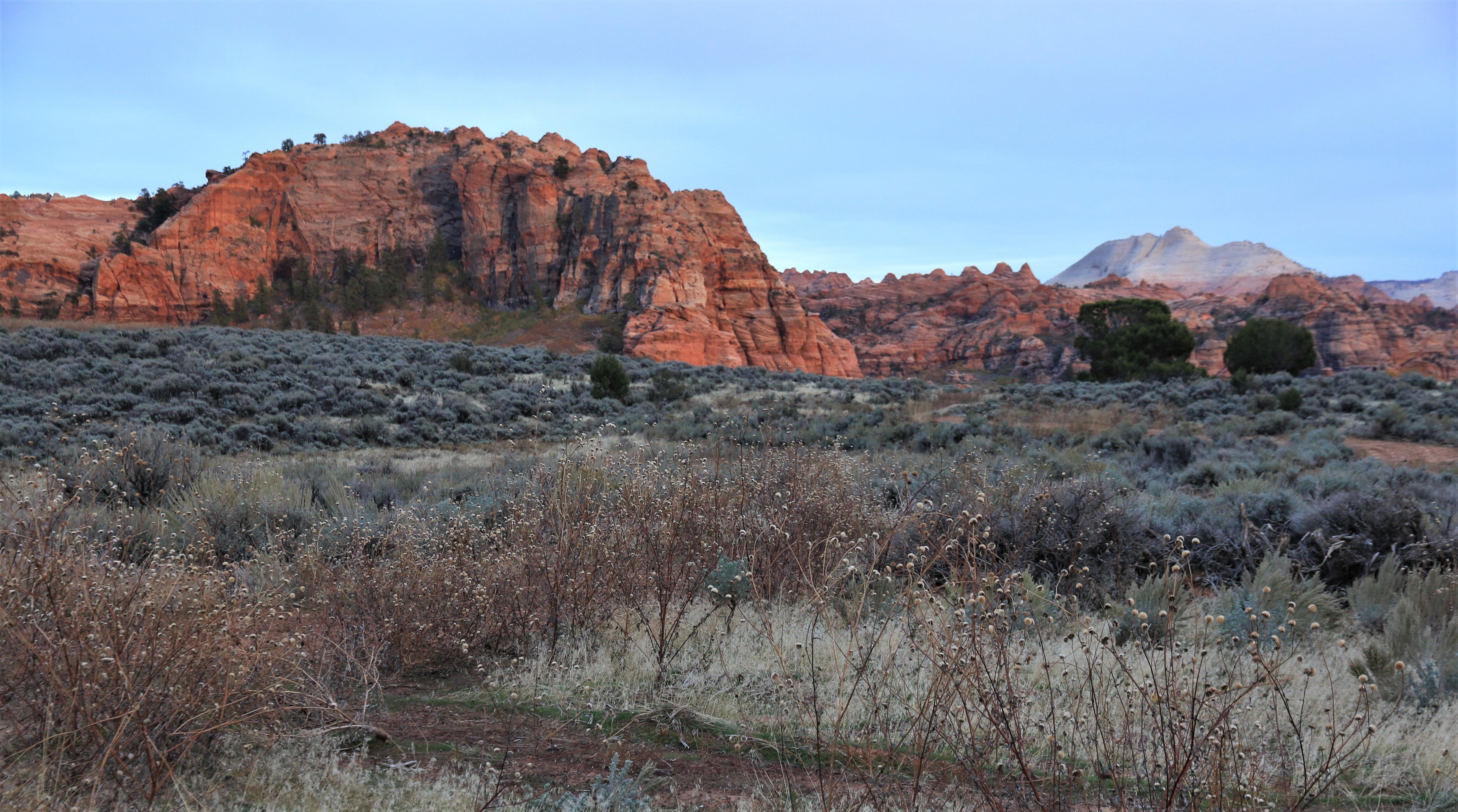 Zion NP